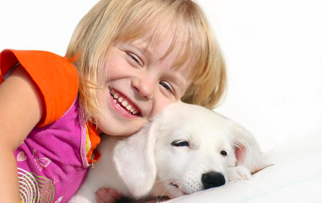 出生后不久的小狗就能跟人类亲近，不会惧怕躲避人是有原因的。