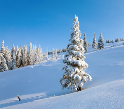大学|考了300分到400分之间，应该如何为孩子来选择大学、专业
