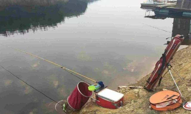 鲫鱼|伏天热，大板鲫难钓到怀疑人生？其实按我说的做，连竿狂拉不犯愁