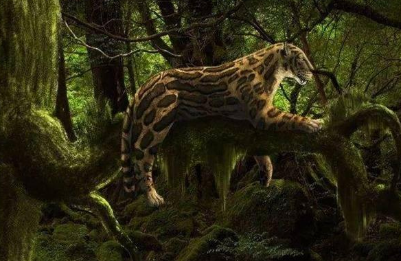 南方古猿|人类当真没有天敌？一动物差点吃光人类祖先，至今有人依然害怕