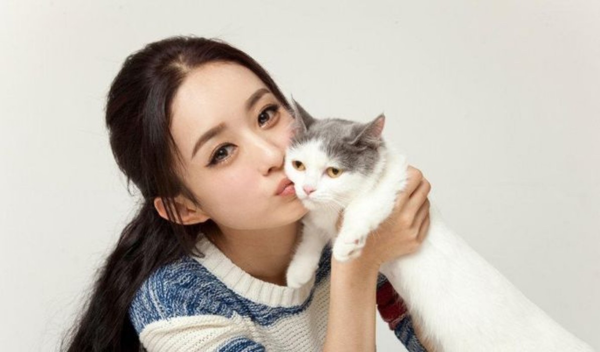 「邓伦」《楚乔传2》即将面世,几位主演没变,但他却不在了