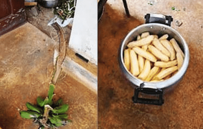 香蕉|小伙每天只吃30根香蕉, 7天后他的身体发生了巨大变化