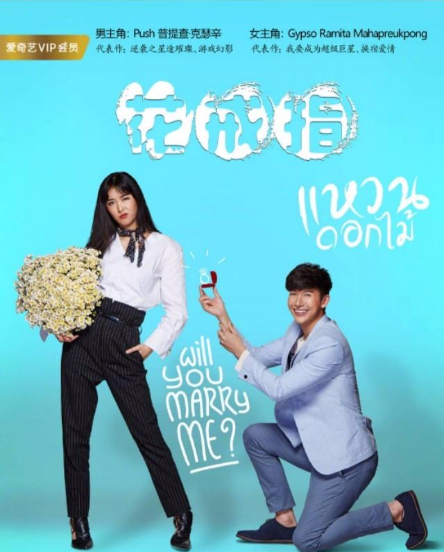 【芒果台】各大卫视及网站即将开播的新剧汇总，喜欢的就追剧吧！