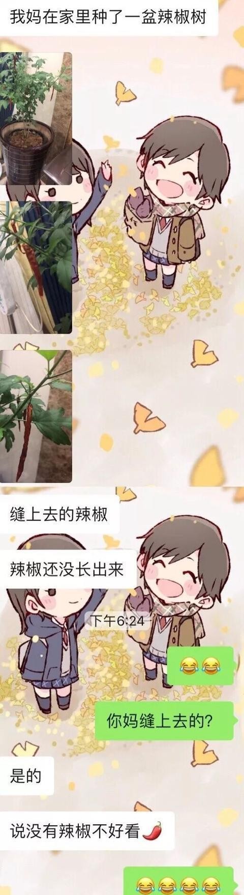 狮子|“和男友吵架，快要吵输了，使出这样一招就能反败为胜了”哈哈哈哈哈