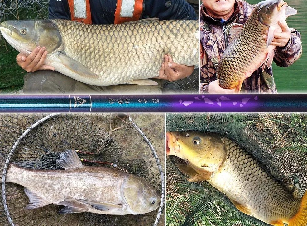 |渔具市场排行前三，最受钓友喜爱的三款鱼竿，你更喜欢哪一种？