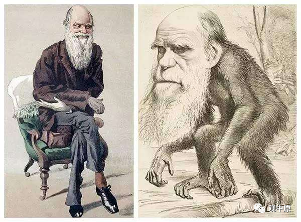 外星人|进化论绕不过去的常识