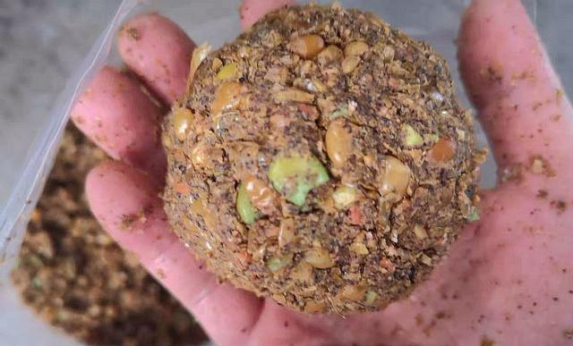 @小中取大：从春夏鲫鱼的觅食、栖息，谈野钓实用的“聚鱼”策略