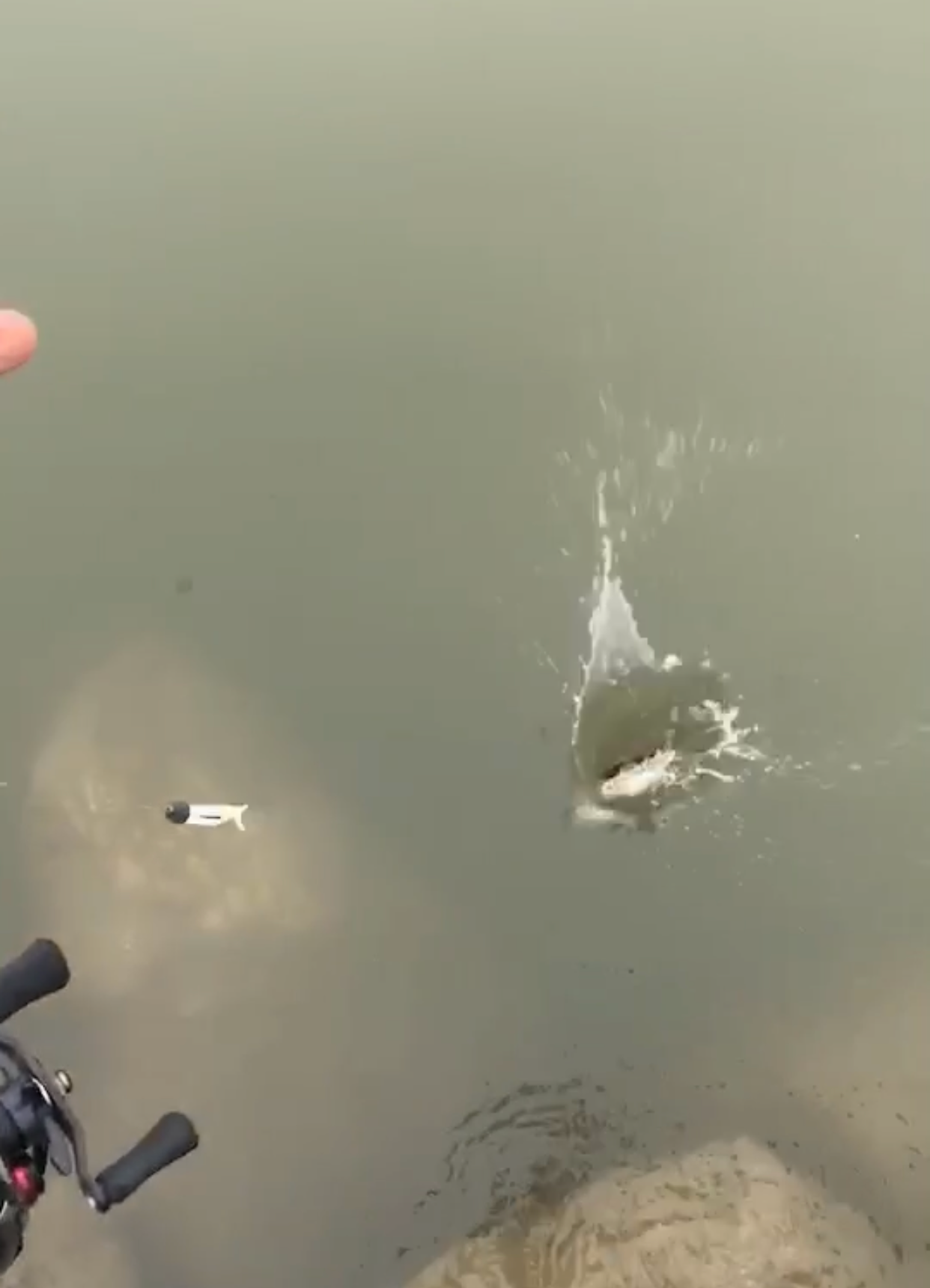 「」长江十年禁渔，路亚钓鱼还能不能玩