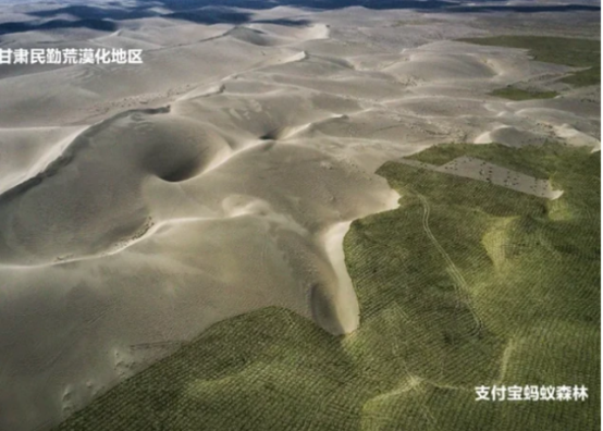 蚂蚁森林▲马云花“天价”打造的蚂蚁森林，如今3年过去了，竟变成这般模样