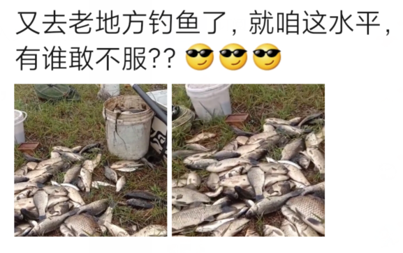 |“又去老地方钓鱼了,就咱这水平,哈哈哈请问有谁不服?”