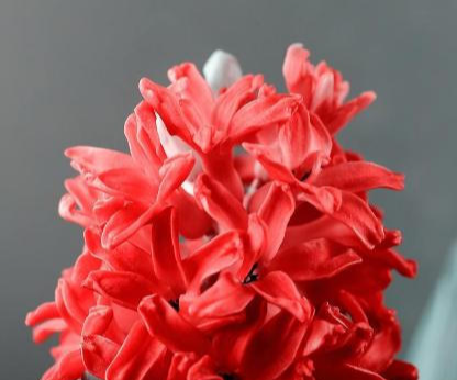 生肖▲三大生肖不走寻常路,7月正财旺,8月横财入,9月不愁钱