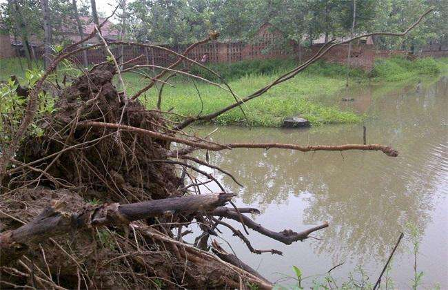 |秋天钓鱼应注意什么？选对方法和饵料很重要！