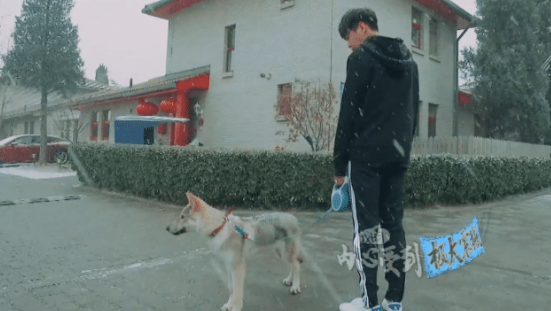 『张若昀』张若昀录节目暴露自己的家，依旧住在农村，客厅的红绿灯成亮点！