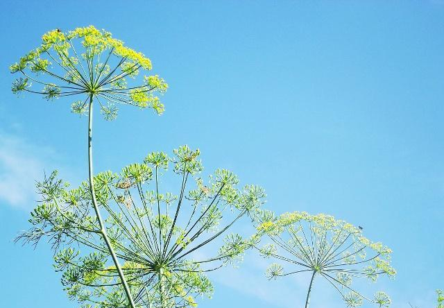 自媒体|自媒体的大神们，是如何做到月入几万的？听听大神们怎么说