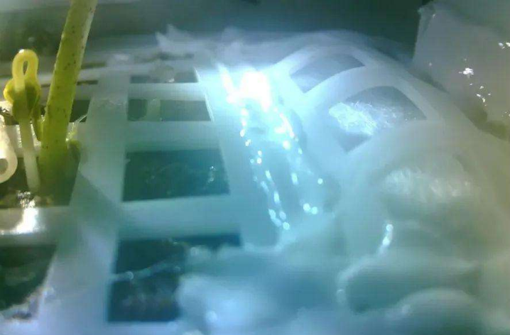 「泰坦蟒」月背首个生命仅存活2天？引外媒幸灾乐祸，中国专家：别高兴太早