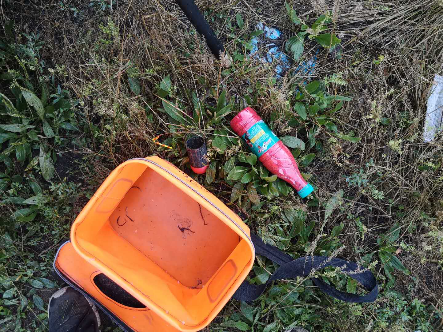 鲫鱼|民间高手讲述：秋天大板鲫怎么钓