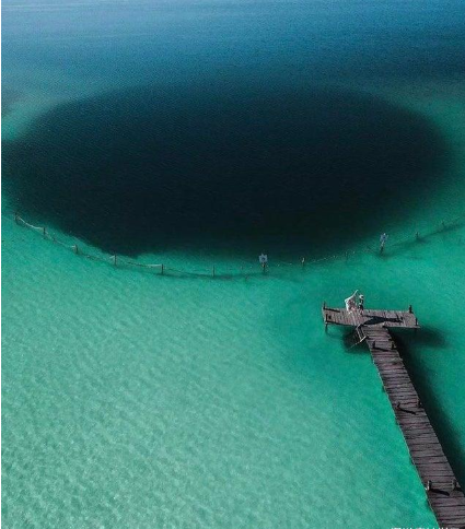 『鲸鱼』大海让人恐惧的一面，看完让人后背发凉