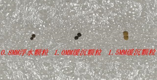 「」颗粒、破竿、马扎：一套看似外行的装备，却演绎出饲料钓鱼的精髓