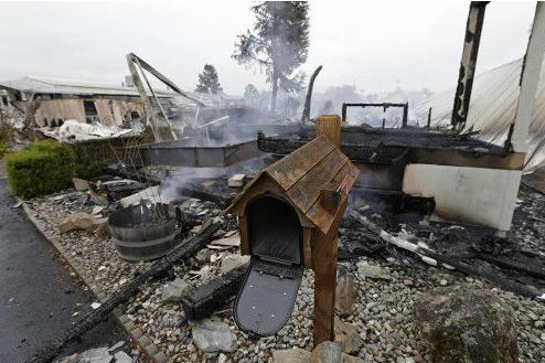 『美国』美国又一噩耗传来:突发地震,祸及4座大城市,死伤人数不明