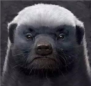 美团▲美团市值破万亿的背后，互联网界的“平头哥”王兴打遍了整个圈子