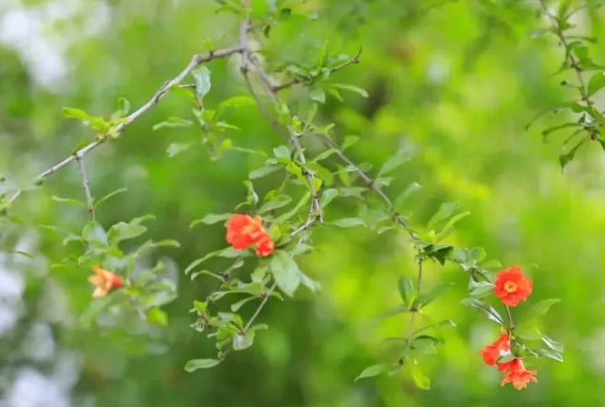 「运势」明天起：与财结缘、与喜事重逢，6月大运如雨下，好日子不请自来