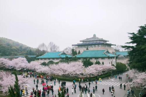 武汉|武汉这四所重点大学可能会降分？今年的高考生请注意！