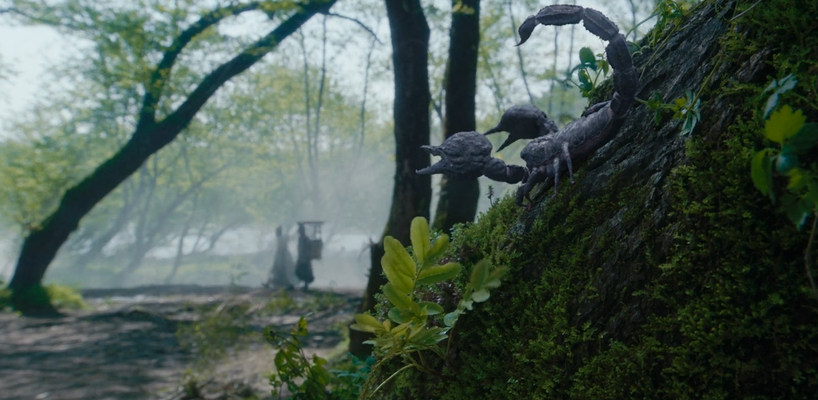 【肖战】《龙虎山张天师》豆瓣5分，47岁樊少皇动作惊艳，剧情拖后腿