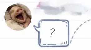 面包|“老妈买了巧克力面包也不告诉我，吃了一半咋感觉有点上头？”