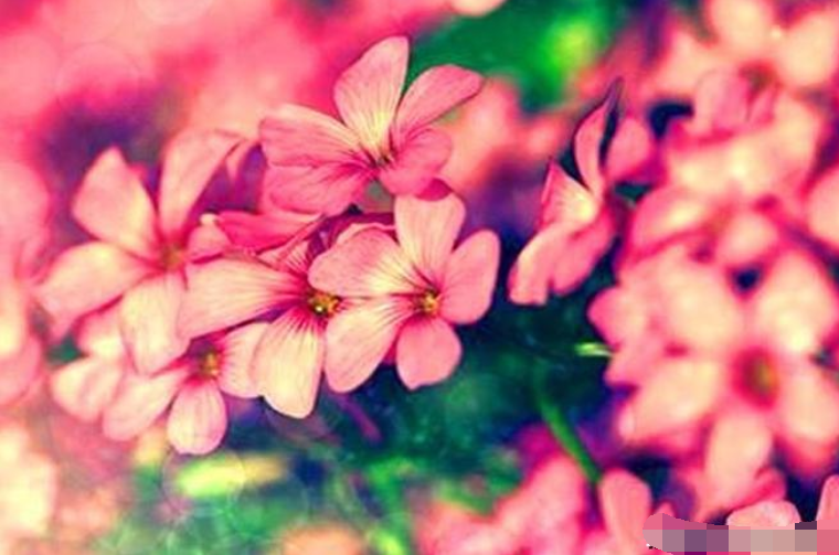 【生肖】这四大生肖，6月运势攀升，富贵盈门，事业收入翻番！