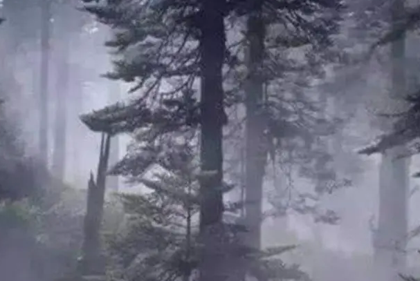 ##“黄泉路”原来真实存在！已被封锁禁止进入，专家至今也无法解释