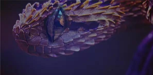 |盗墓?看到了这些你还敢么?