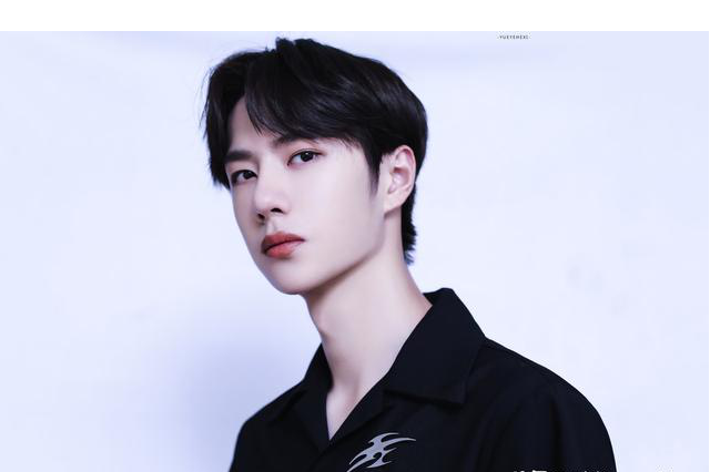 「王一博」王一博为什么这么受宠？这就是原因