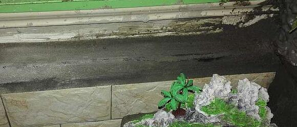 偷偷在阳台砖砌鱼池, 邻居来玩, 去物业把我投诉了