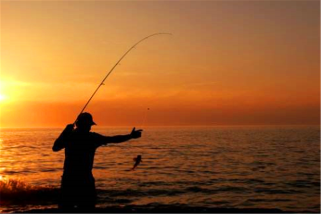 |俗话说;“钓鱼穷三年,玩鸟毁一生”,老祖宗的告诫,年轻人要谨记