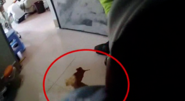 [民警]女子急报警：闺蜜男友要自杀！警察来后，尴尬了…