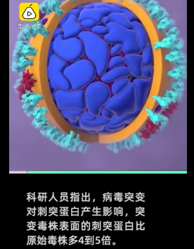 []研究: 新冠病毒已突变 刺突蛋白比原始毒株多4到5倍