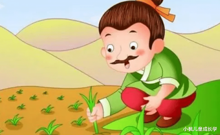 小枫儿童成长学|为什么要让孩子从小学成语?这是我听过的最好的答案