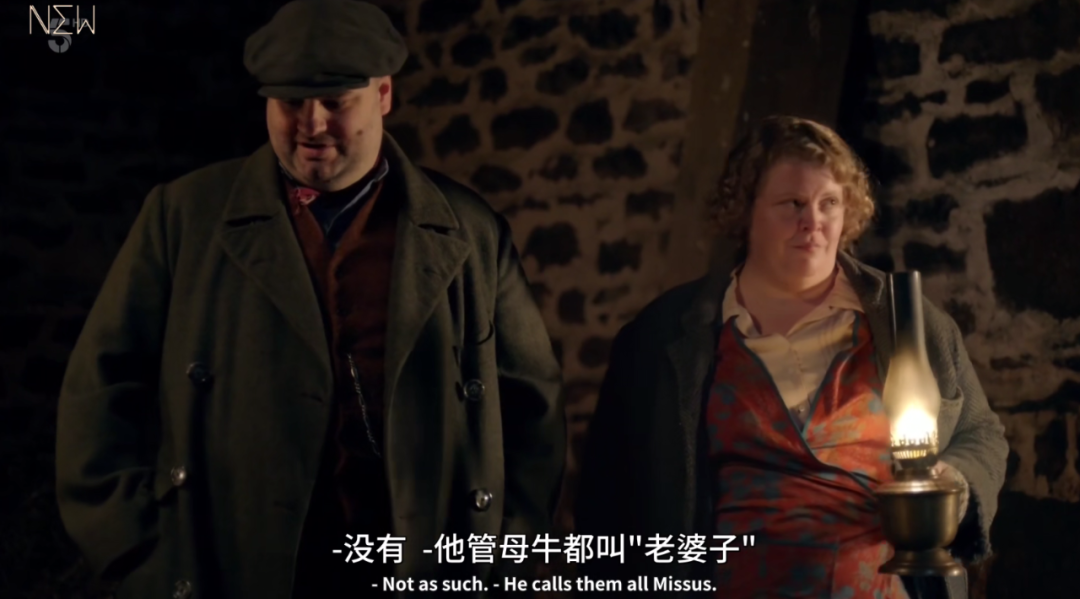 兽医|一集9.6，年度剧王回来了