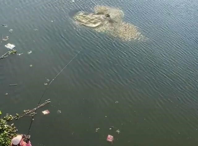 浙江省|浙江一女子海边野钓，意外收获“米级”大鲈鱼，男钓友都自叹不如