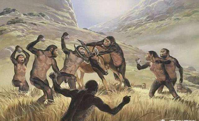 石器时代 巴拿马猴已经进入石器时代，它们未来会威胁到人类吗？