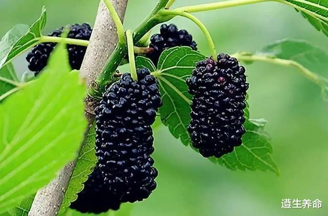 黄体酮|女性体内“黄体酮”缺乏，会有哪些表现呢？