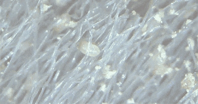 家居超人|若经济允许，尽量添置这4个“走心”家居用品，个个有真本事