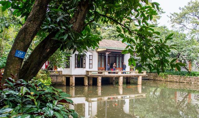 侃旅 春季广州赏花游，这几个地方是不错的选择，你更喜欢哪个？