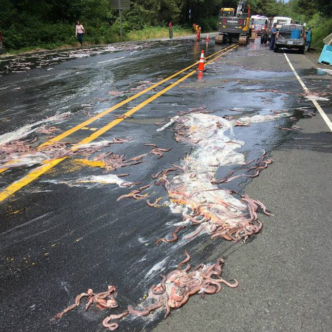 盲鳗 就像“毒液”一般的“外星生物”，看上去黏糊糊的，但很好吃！