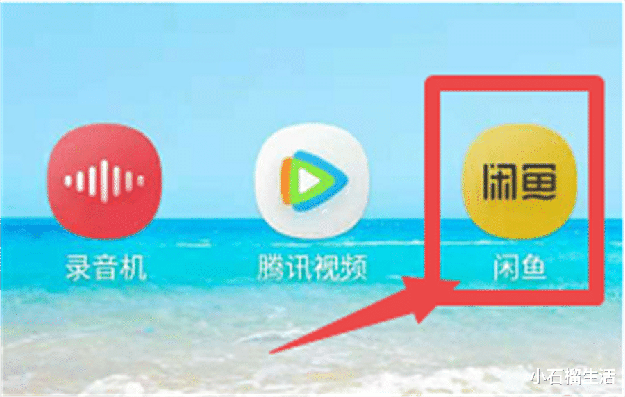 闲鱼|闲鱼也有做自媒体的功能，不但有收益还能领20元红包