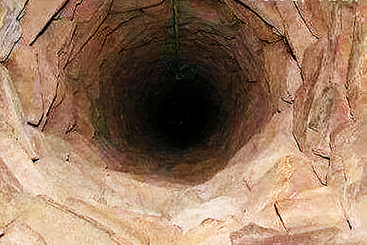 壮志凌云霄 “山东抛尸案”始末: 买凶杀人，杀手被反杀抛尸枯井竟是两死者