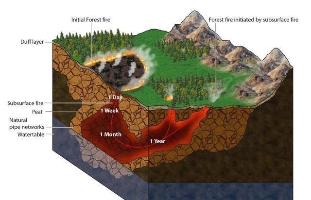 北极 北极“高烧”不断，史前生物遗骸接连出现，冰层下的病菌或将苏醒