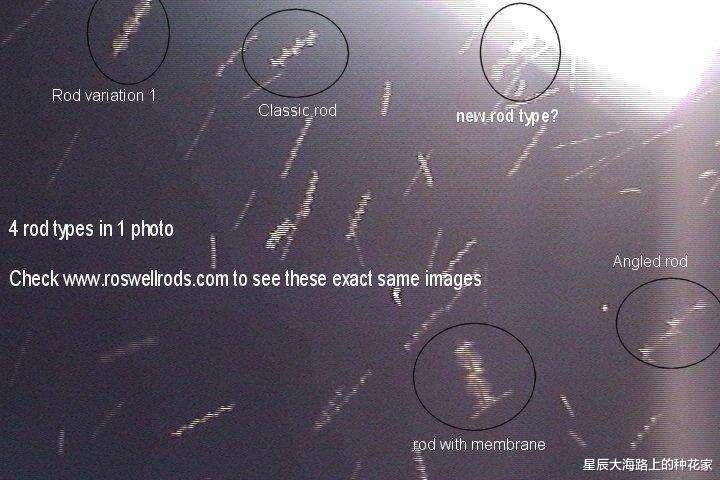 木星 大气层内隐藏着未知生物，我们却对它们一无所知，究竟是真的吗？