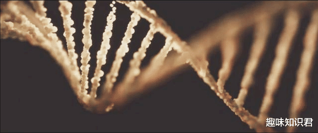  趣味冷知识分享（五十一）快来一起涨知识！