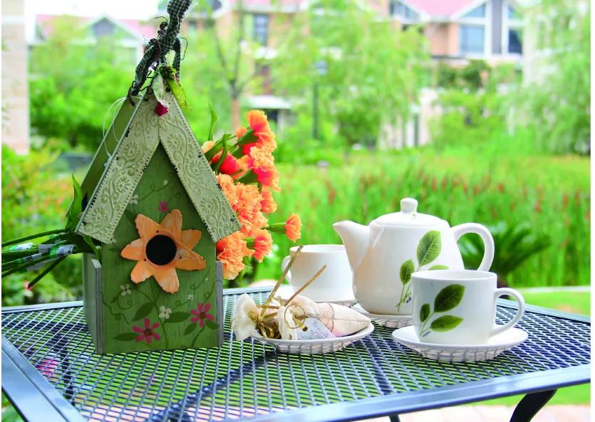 |院子里放置一些这样的创意小搭配,瞬间美成诗